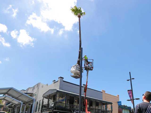 Illawarra Placed Landscape